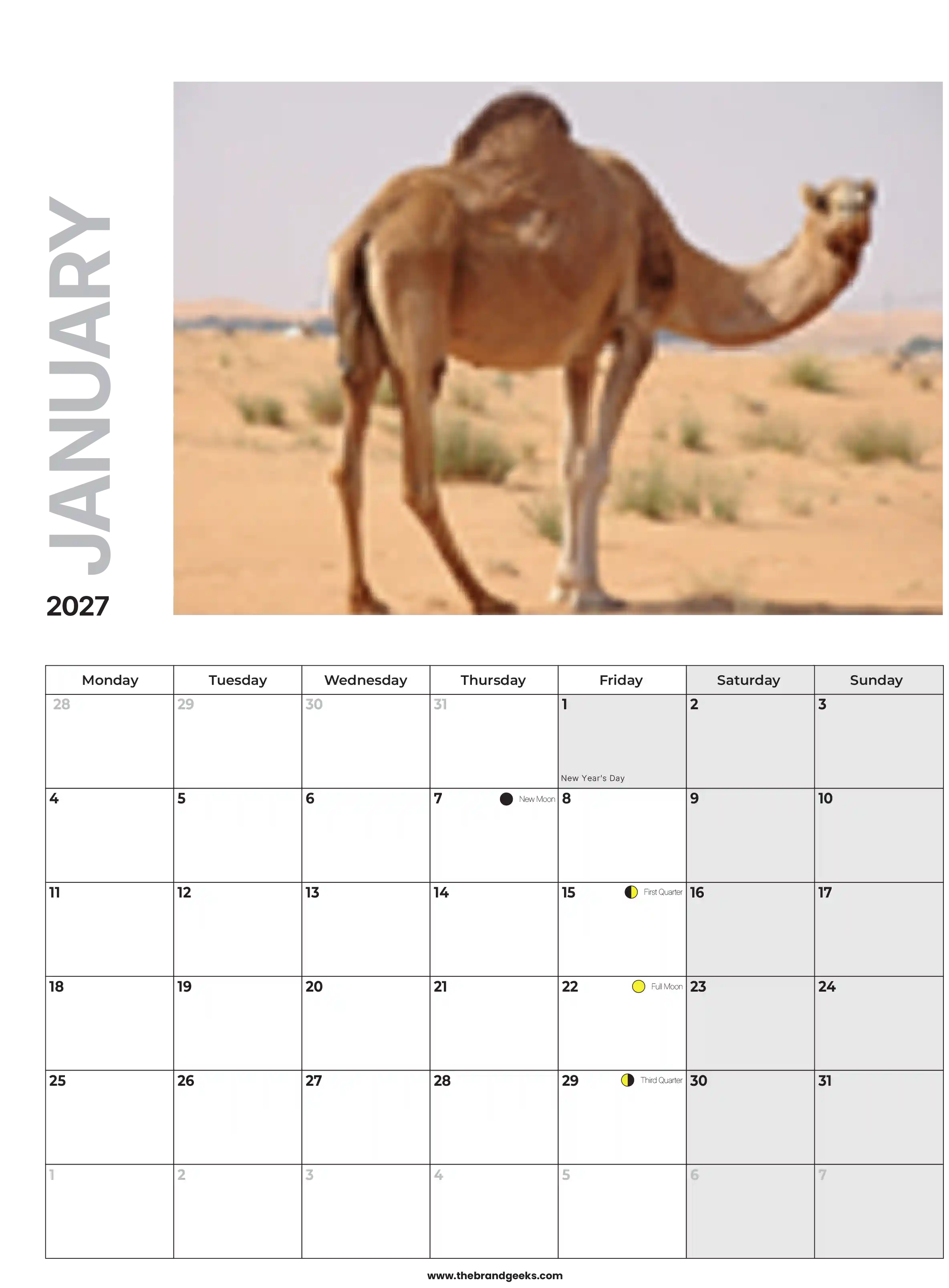 2027 A4 Calendar Month Example with Camel Image