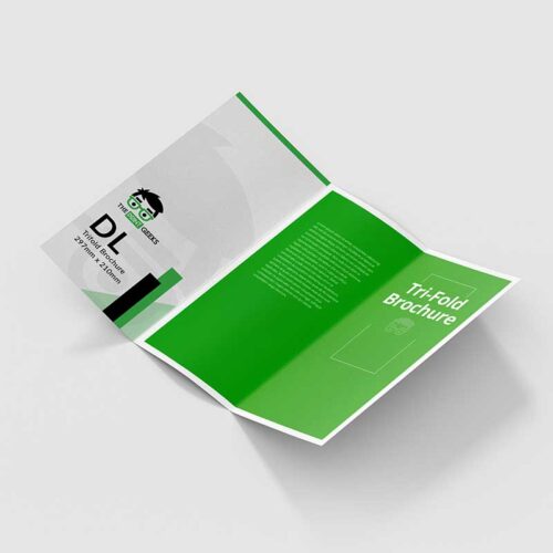 DL Trifold Brochure Sample